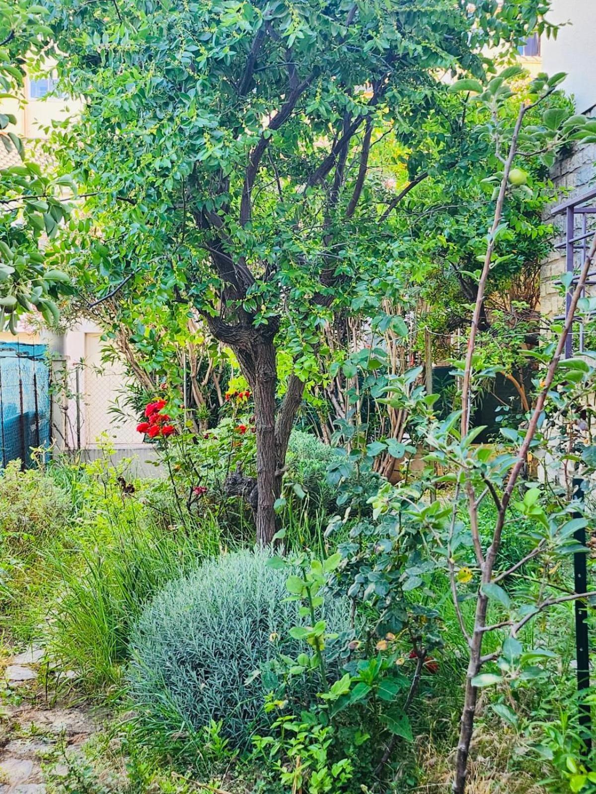 Appartement Paisible Pour 4 Personnes 몽펠리에 외부 사진